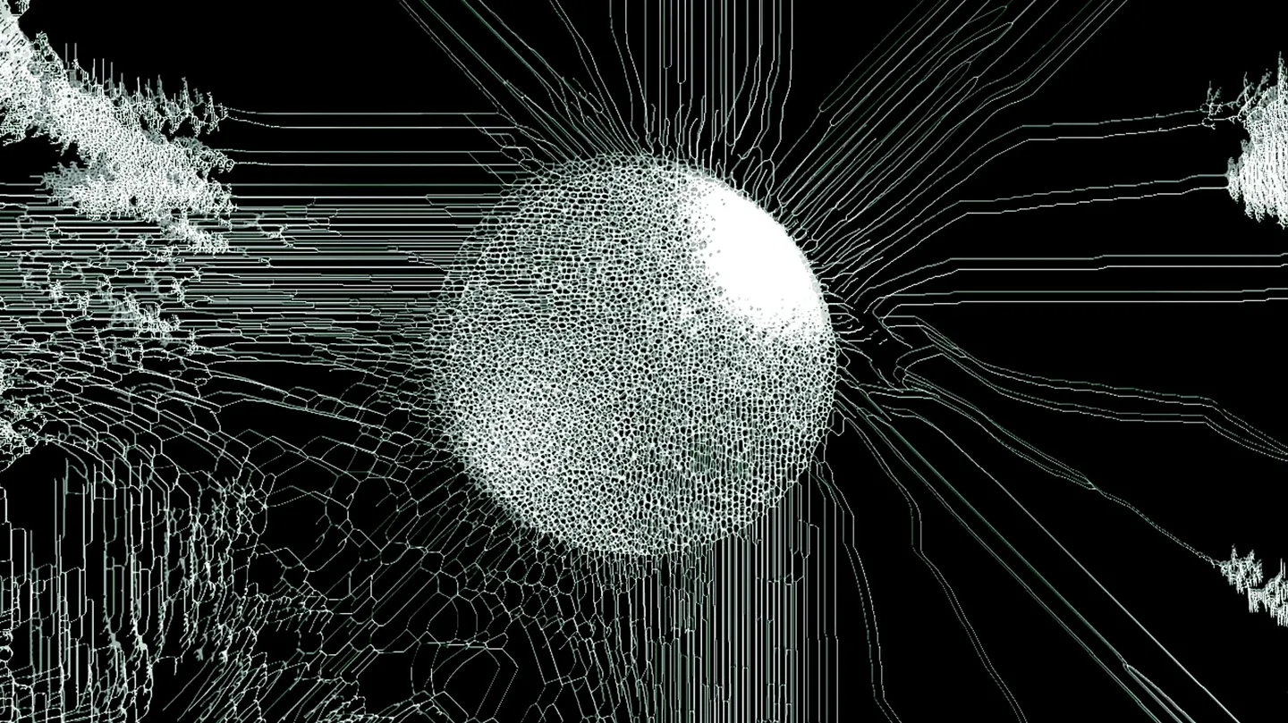 “Armillaria Solidipes fungus DNA” (2023) by Alessandro Zannier