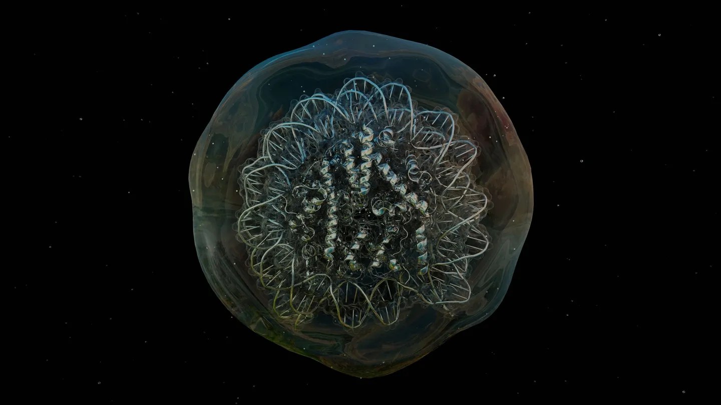 Baroque Bodies (Ambient Portals) by Laura Splan