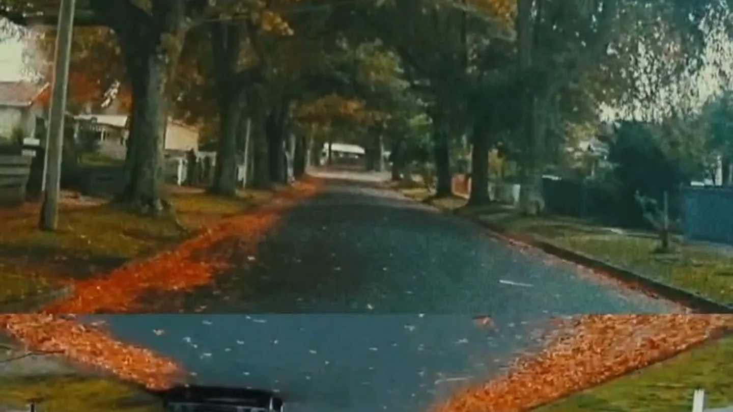 Autumn-Winter by Motion Marinade