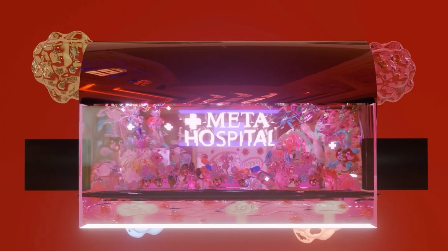 Metahospital by Valentin Ranger
