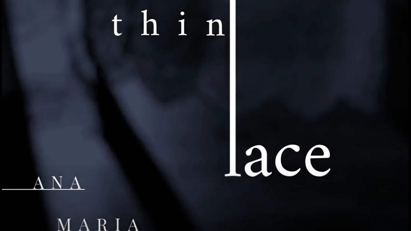 Thin Lace by Ana Maria Caballero by Harddiskmuseum