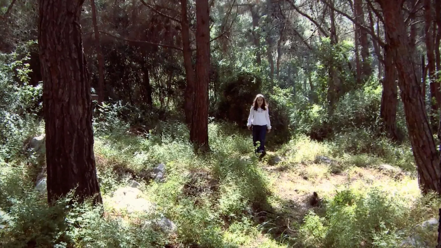 For Voice And Forest by Cynthia Zaven