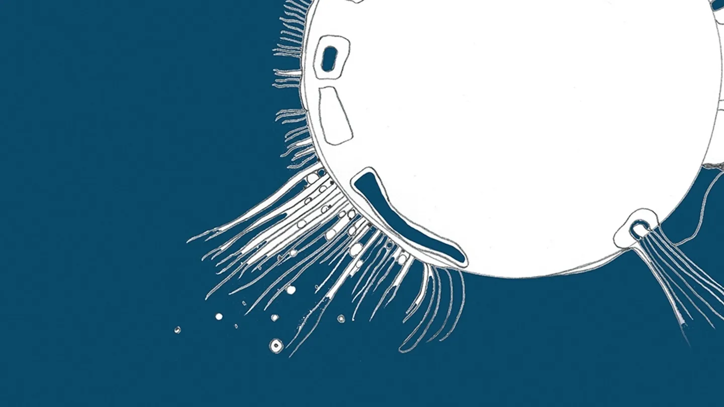 A lonesome Milk-Planet by Ronit Wolf