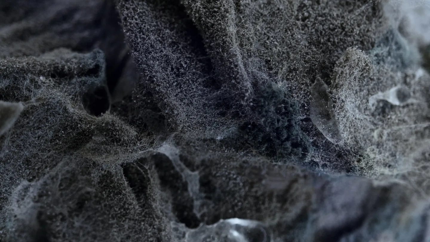 Barricading the Ice Sheets by Francesco Fabris