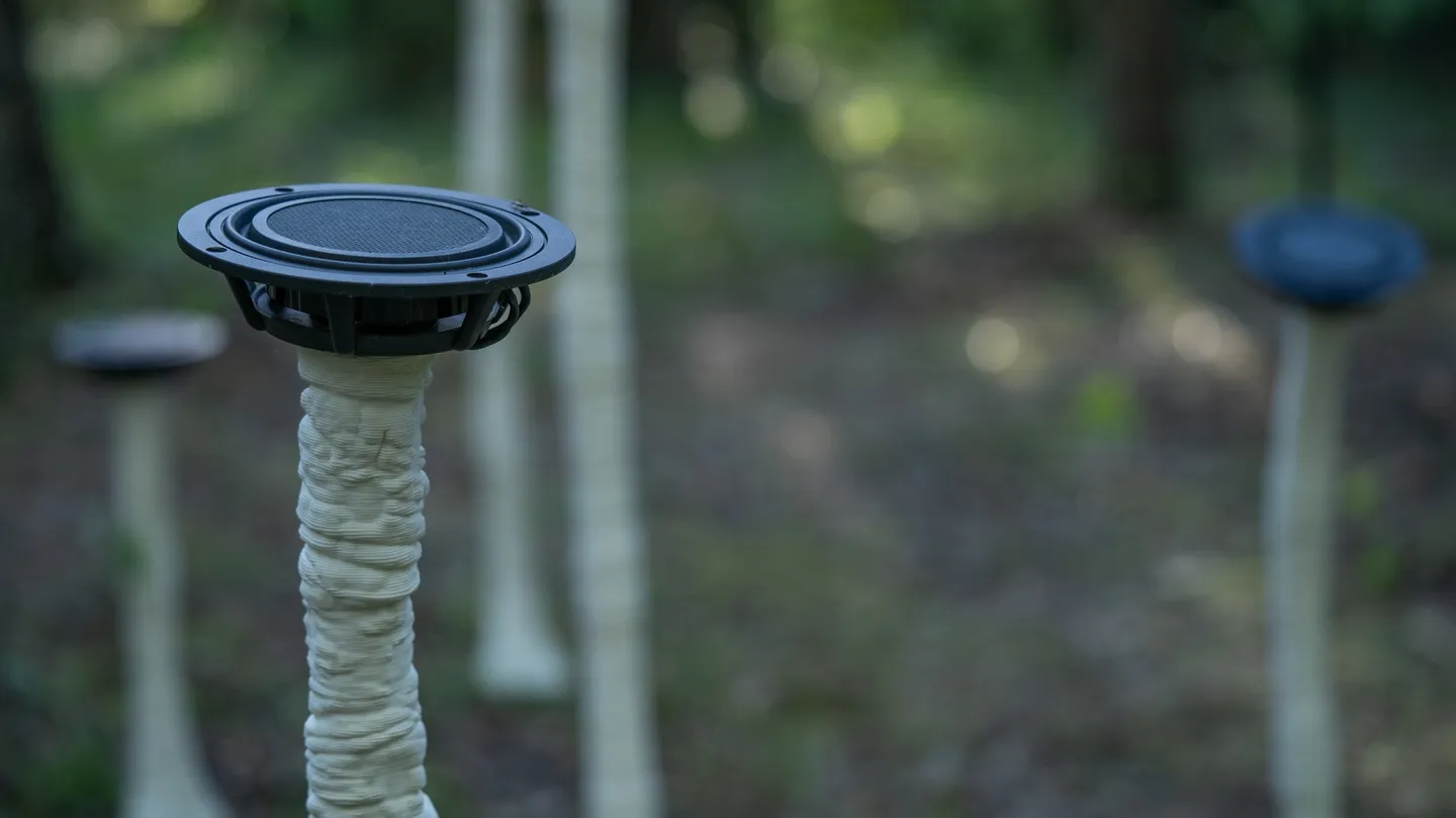 FUNGI by Marco Barotti