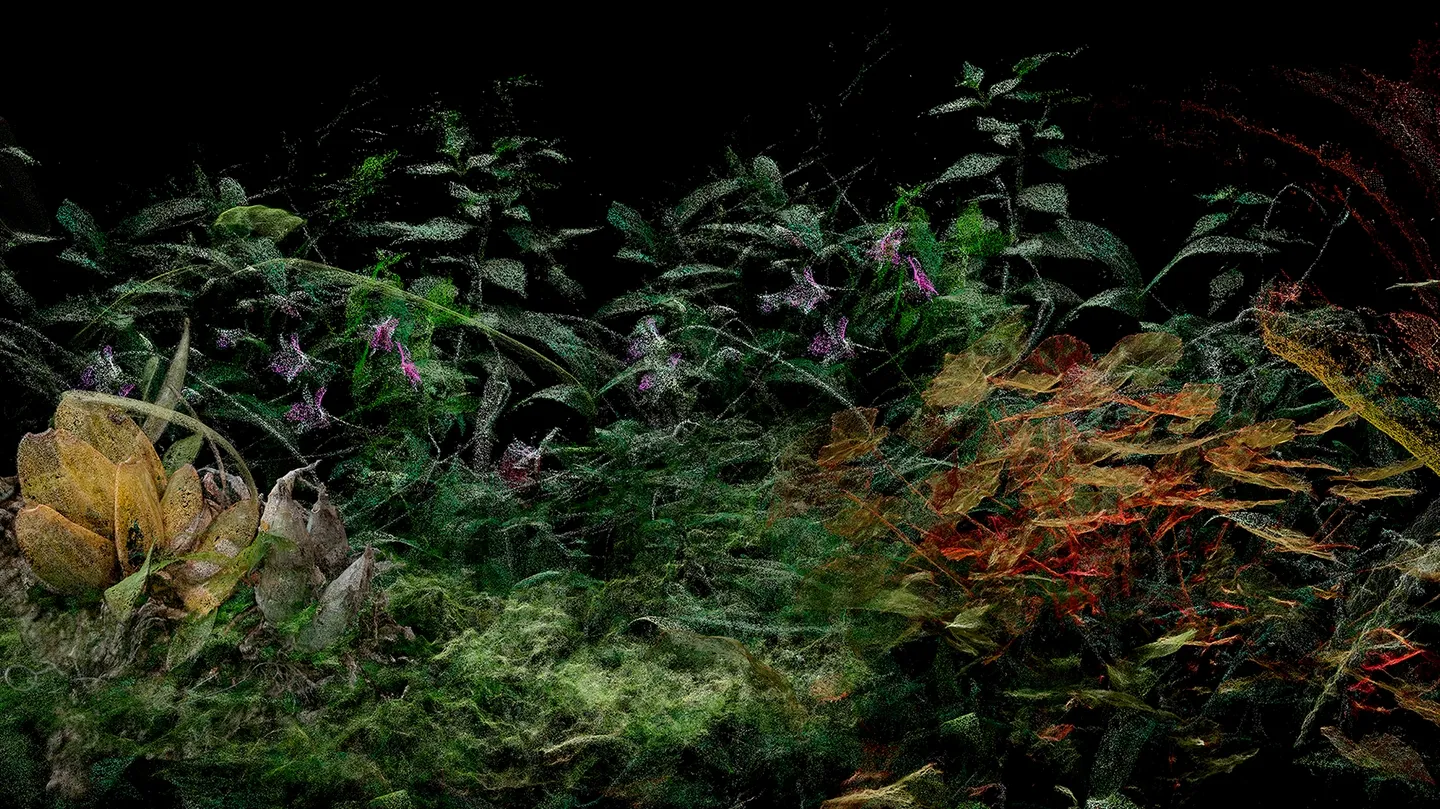 Las flores mueren dos veces-Garden by Cristobal Ascencio