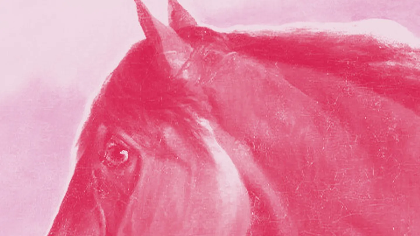 pink pony by nadine carruthers