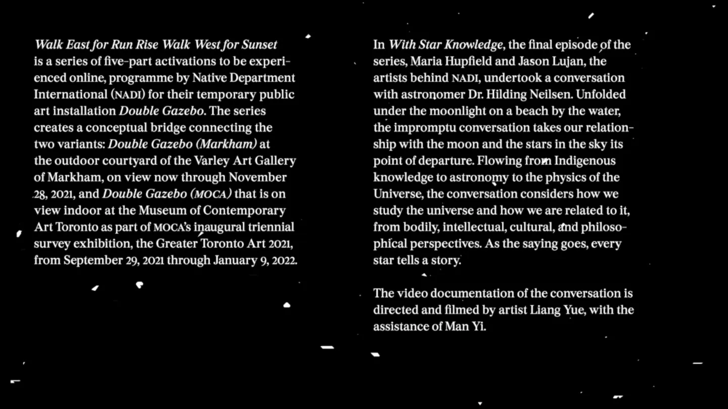 Final Star, Documentary 03, 2021 by YUE LIANG