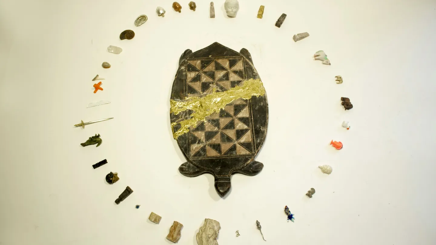 The Divinatory Turtle by Stefano Alaimo