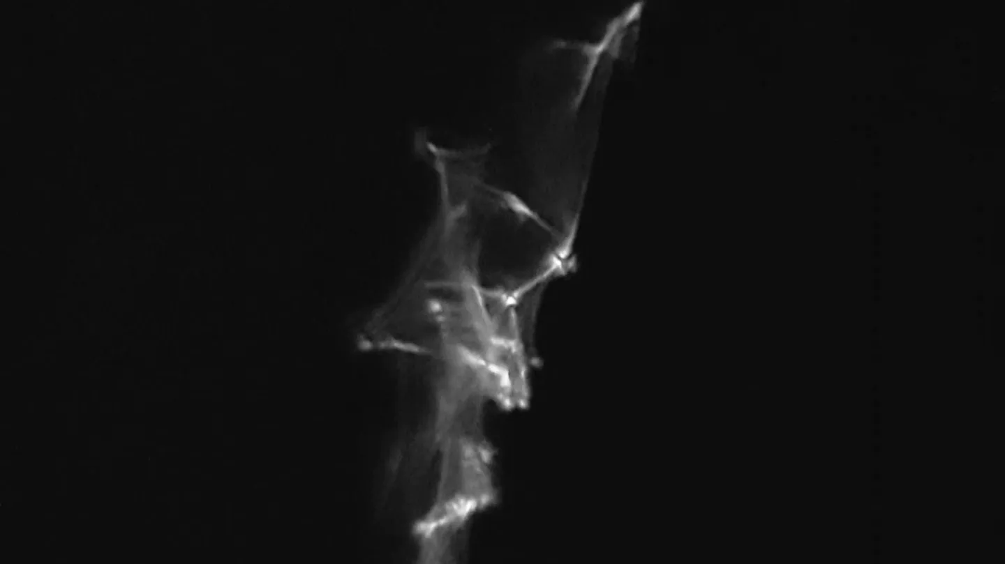 A Dark Art by MsSibyl