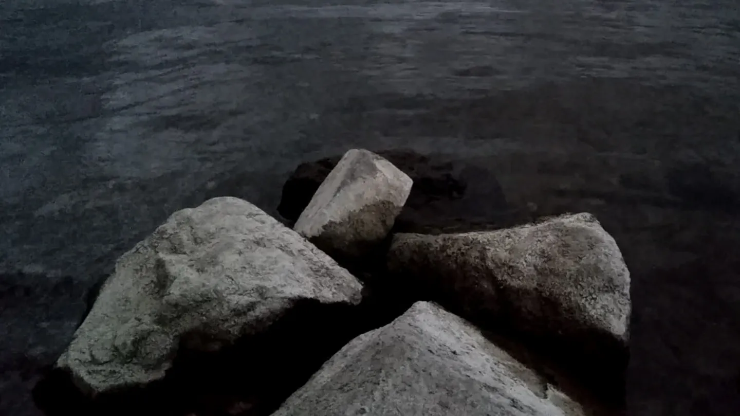 Debris of Dreams by Masha Godovannaya