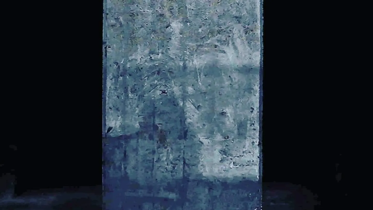 PERPETUAL SCARS by Marcos Saboya