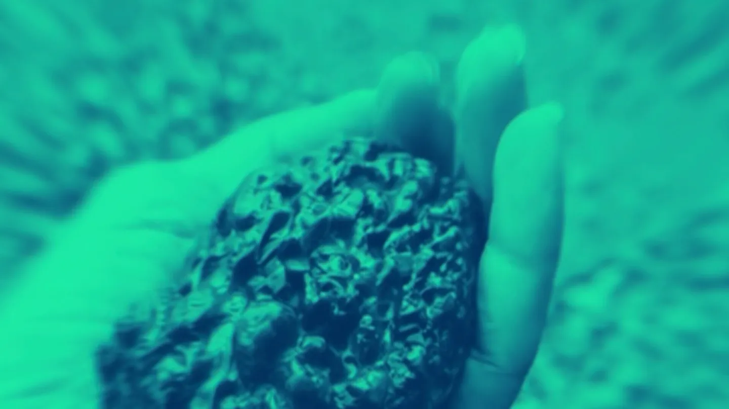 On the Wings of Values by Hoffnungsfalter