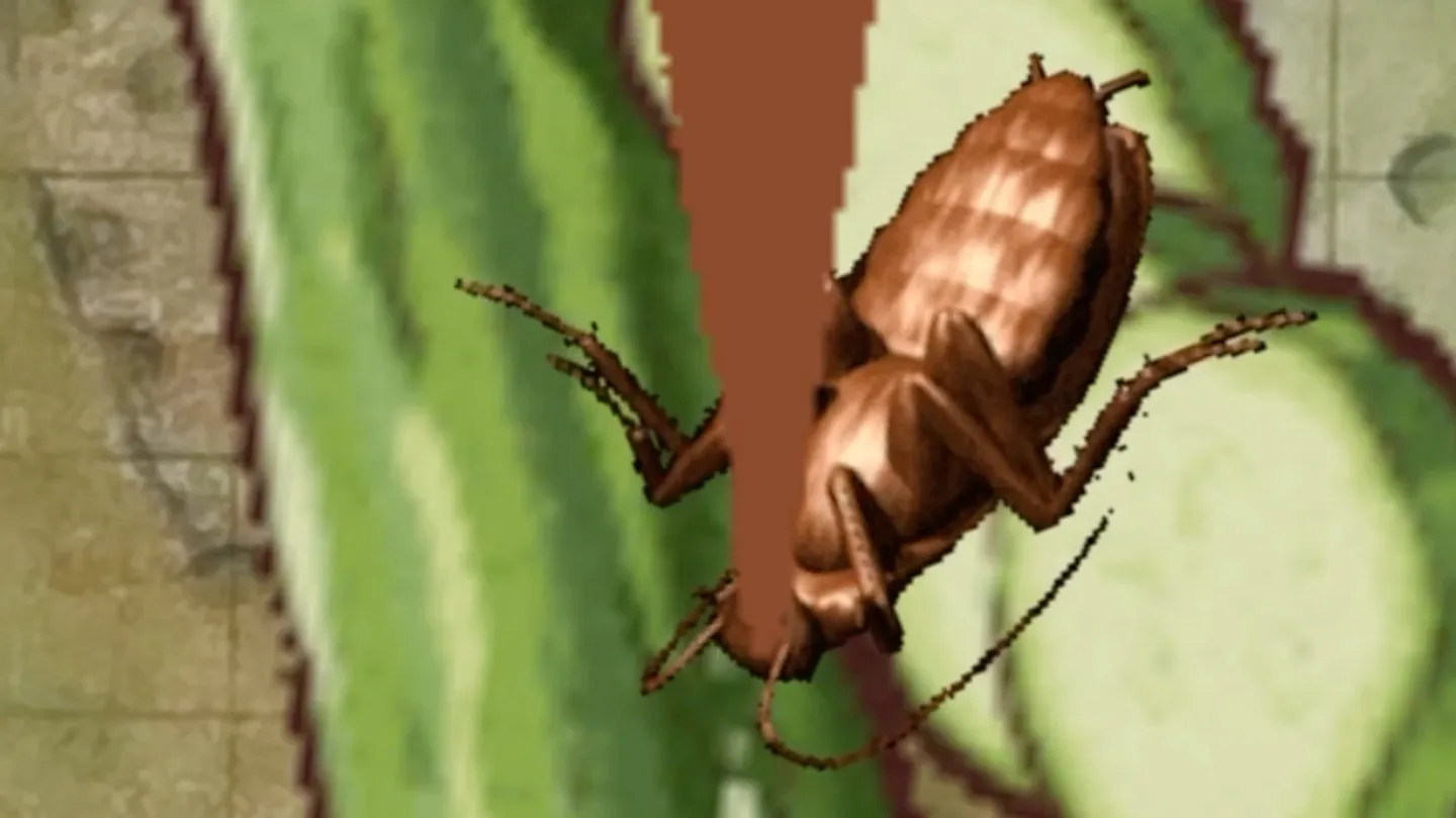 untitled (cucumber) by Anouk Kruithof