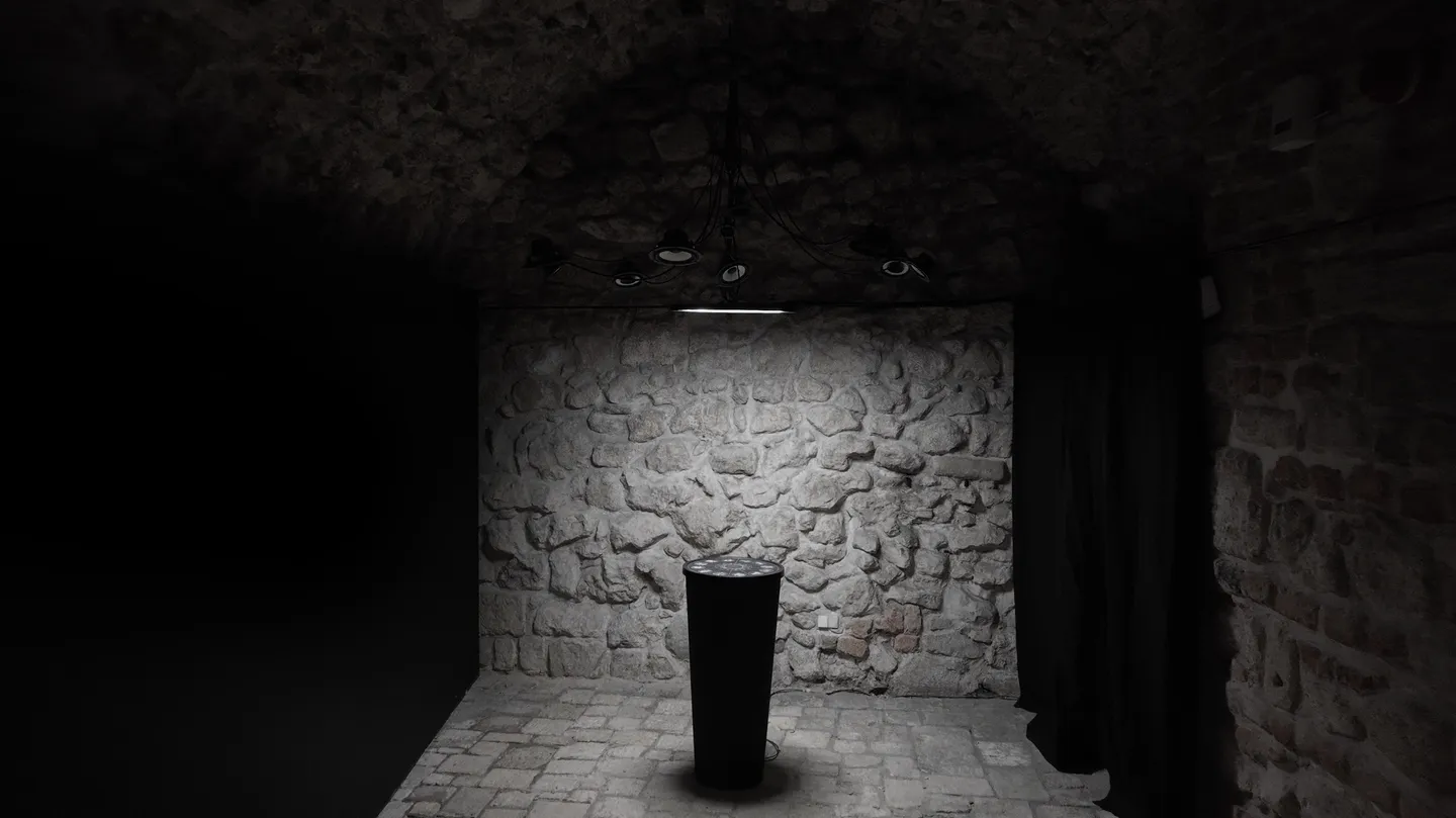Below the Haze Line: An Extinct Gaze by Francesco Fabris