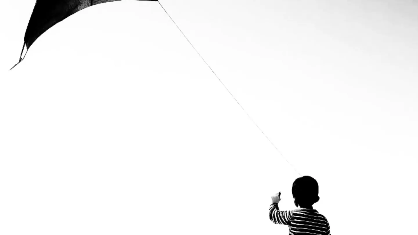 the kite by Nick Peustjens
