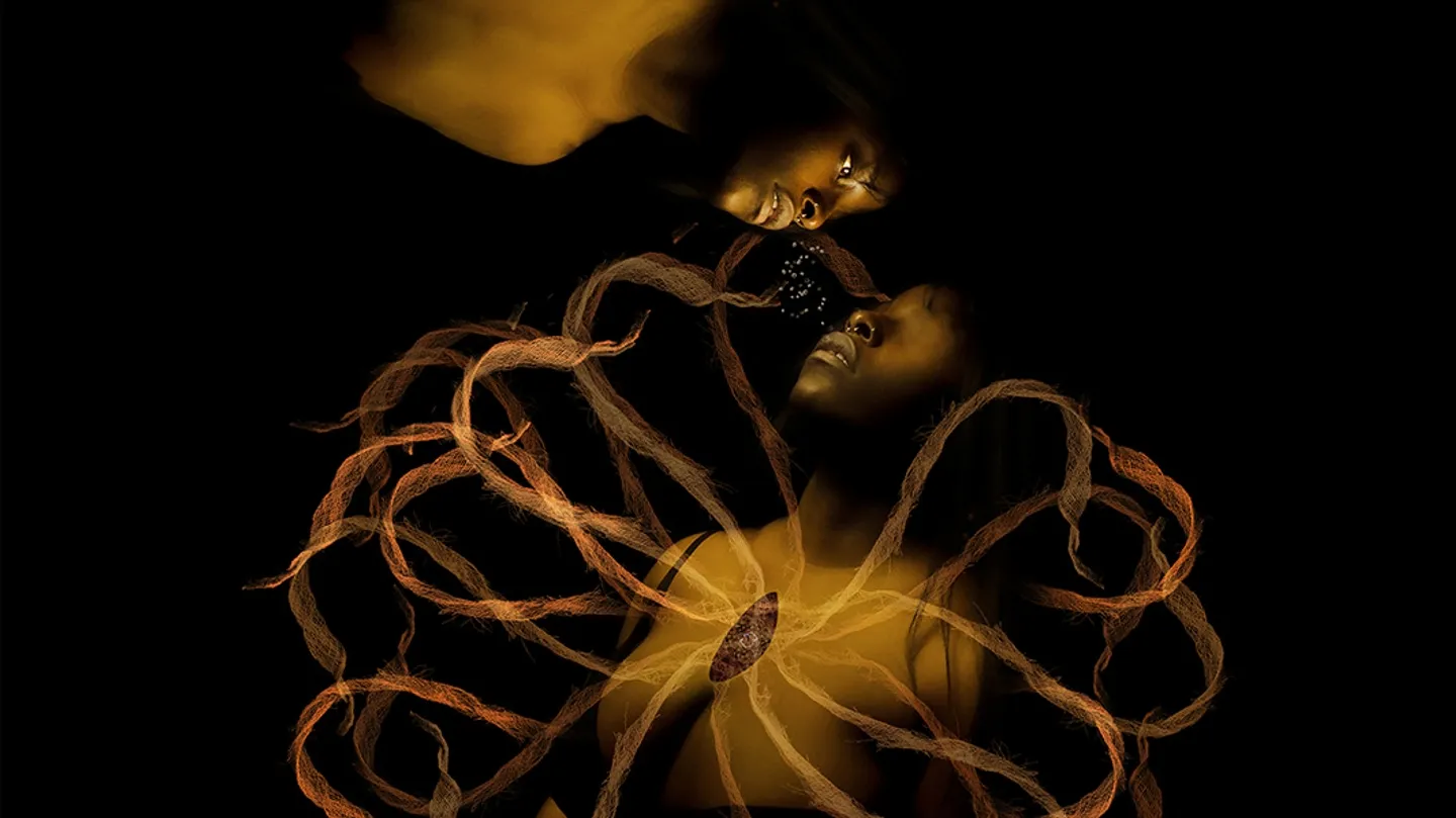 The things it carried (4) by Arit Emmanuela Etukudo