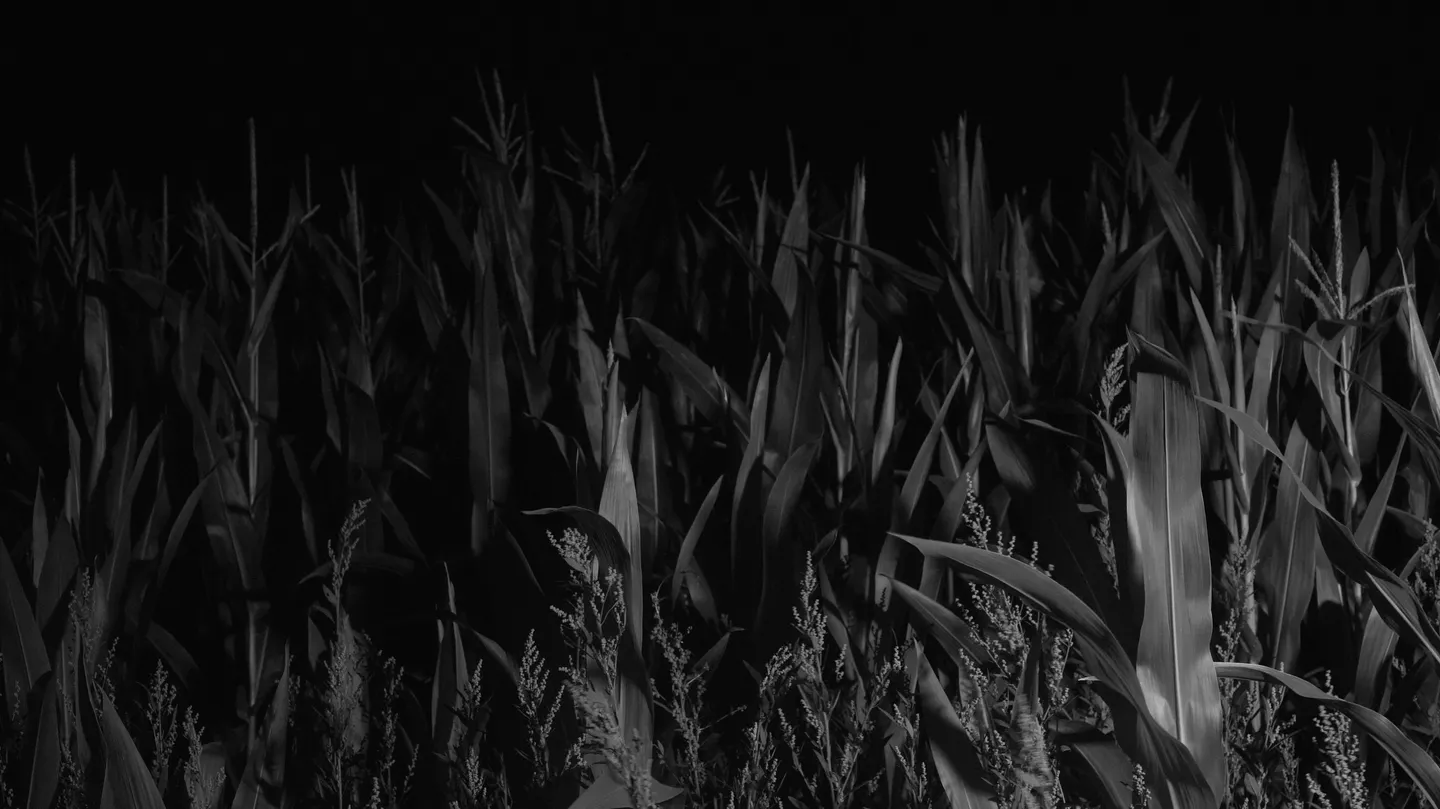 Remain In The Dark by Nikola Ivanov