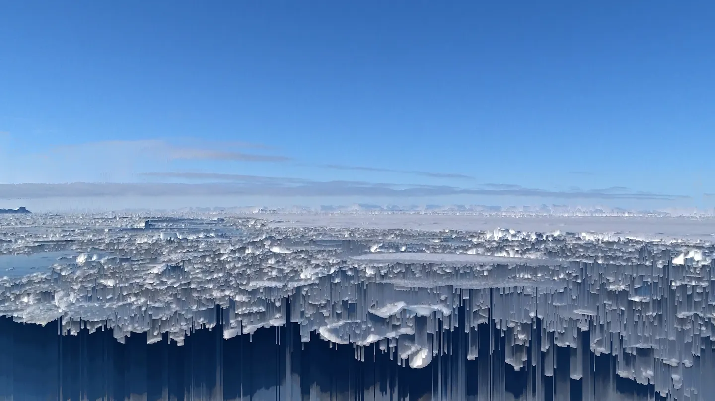 The End of the World as we know it by Susanne Layla Petersen