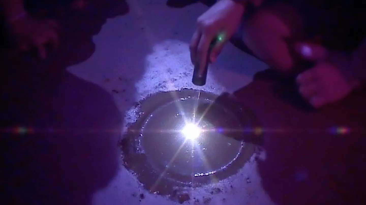 FATIGUE ARCHIVE by Malpractice