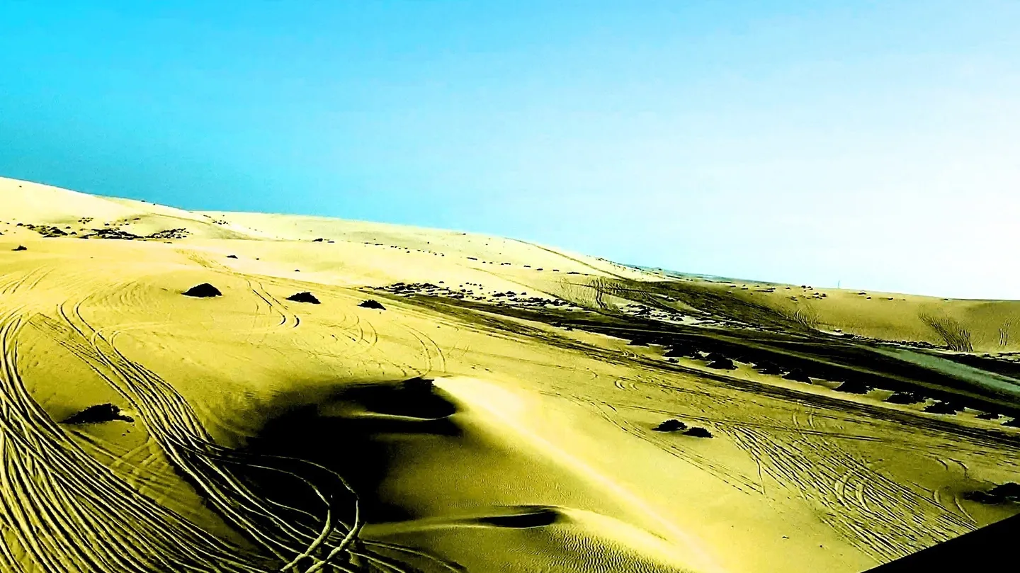 THAT IF WE GO INTO THE DESERT by Katia Sophia Ditzler
