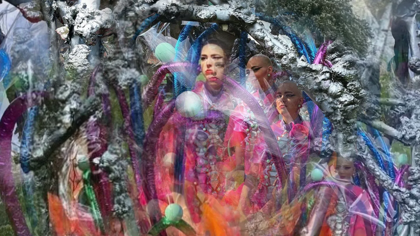 Hybrid Nature Womb - Transcript by SOFF