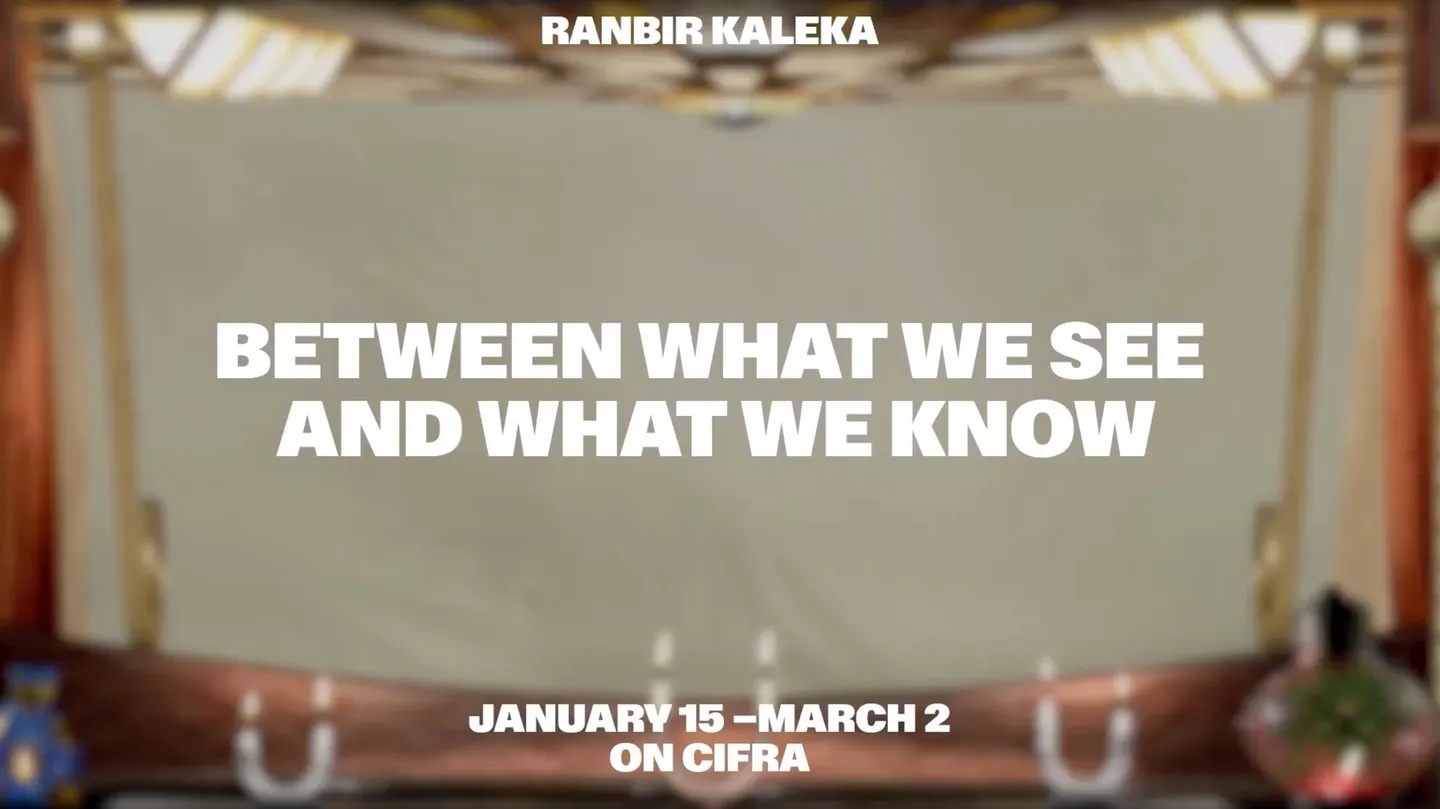 Between What We See And What We Know by Ranbir Kaleka