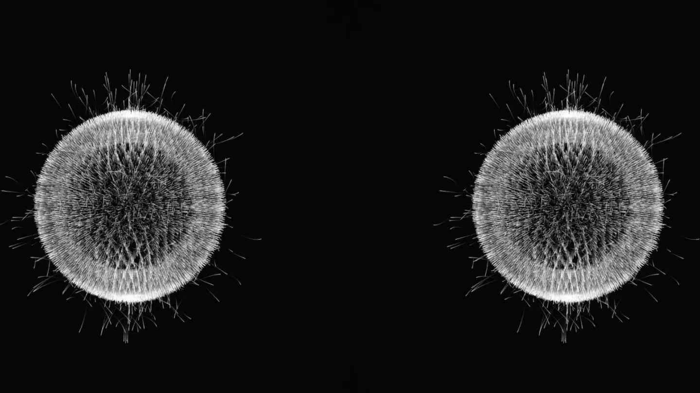 Escalation><Involution serie by Alessandro Zannier