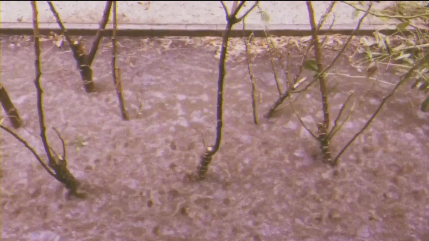 Rain مطر by Anhar Salem