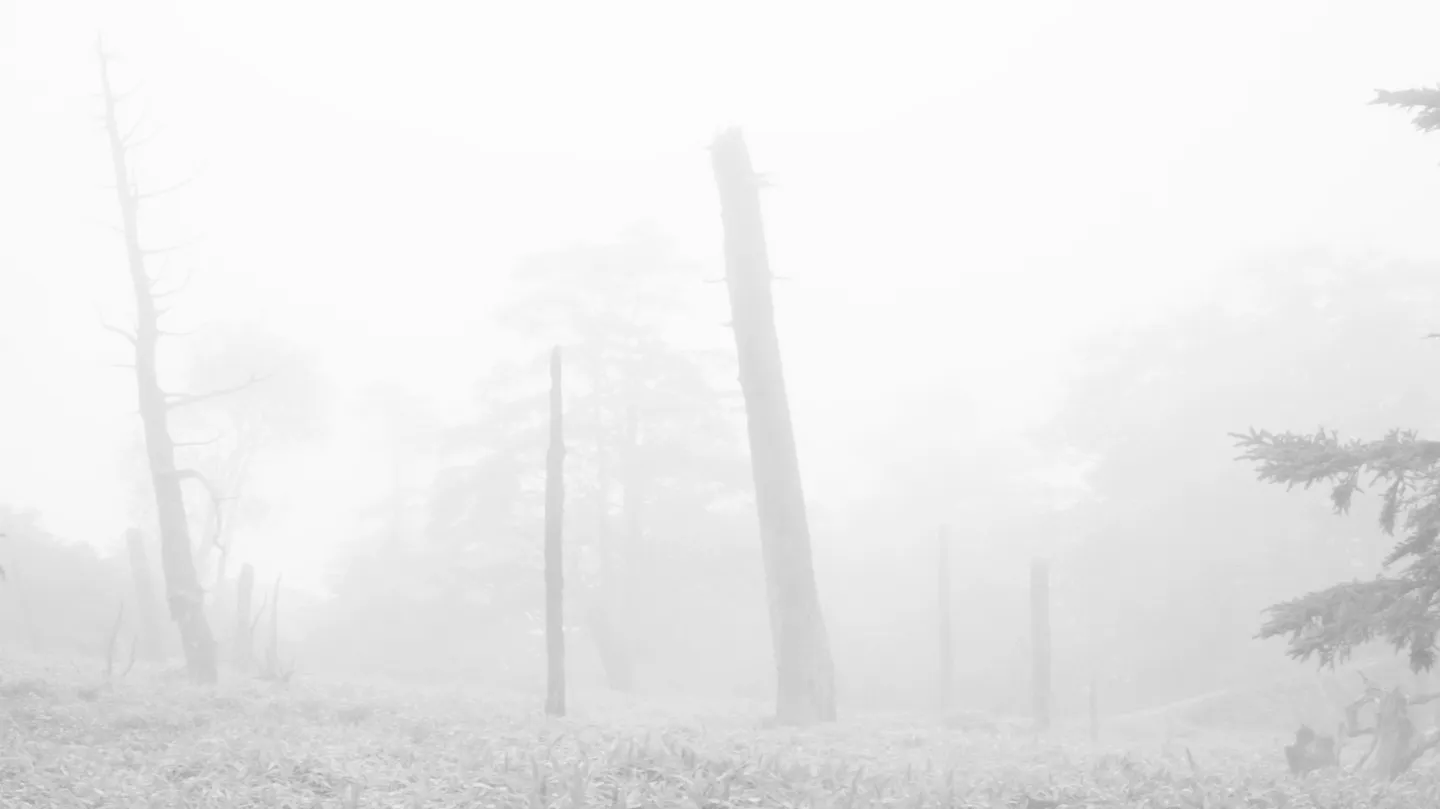 fatalism: Gh0st I by fatalism