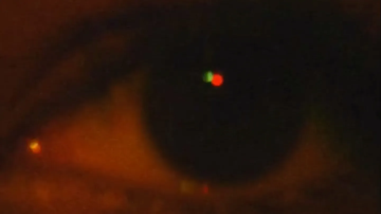 You | Red by Anhar Salem