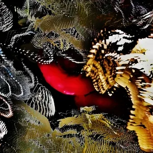 paraxeno