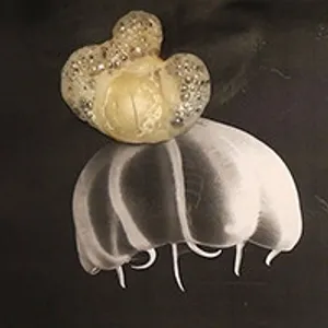 VeraSebert