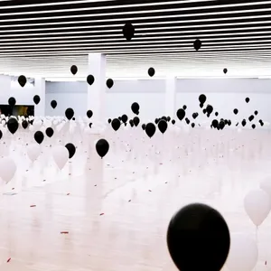 Domestic Data Streamers