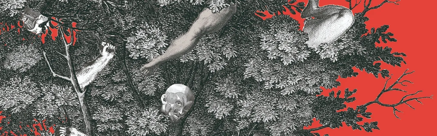 Cynthia Villagómez Oviedo