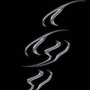 Les Shapeshifters